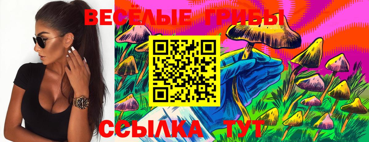 Галлюциногенные грибы MAGIC MUSHROOMS Железногорск