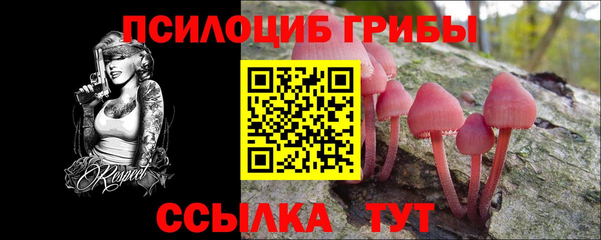 Железногорск  Псилоцибиновые грибы Cubensis  Вход с VPN 
